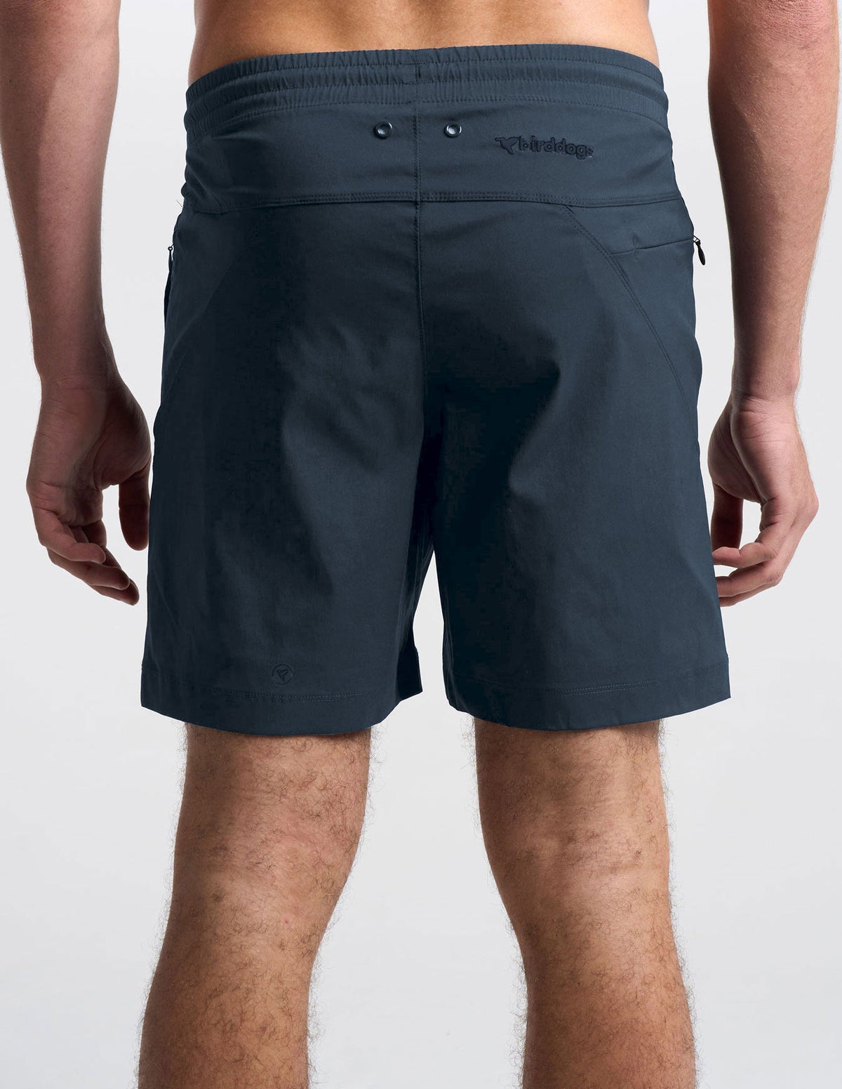 The Ted Splashos